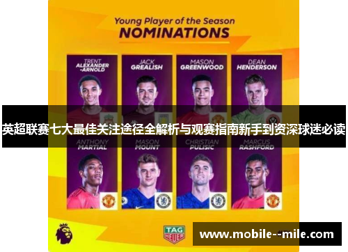英超联赛七大最佳关注途径全解析与观赛指南新手到资深球迷必读
