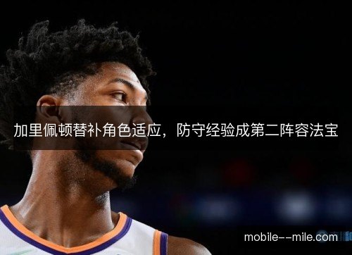 加里佩顿替补角色适应，防守经验成第二阵容法宝
